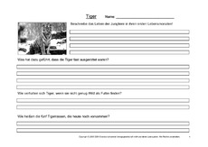 Tiger-Fragen-4.pdf